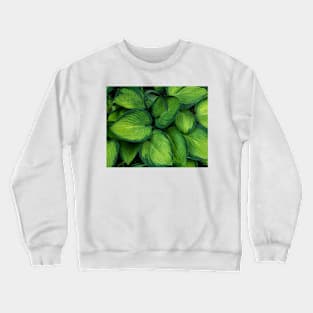 Hosta Crewneck Sweatshirt